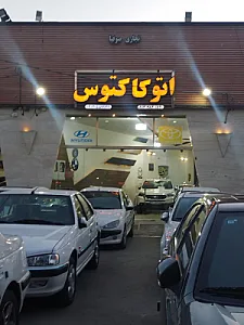 اتوگالری کاکتوس