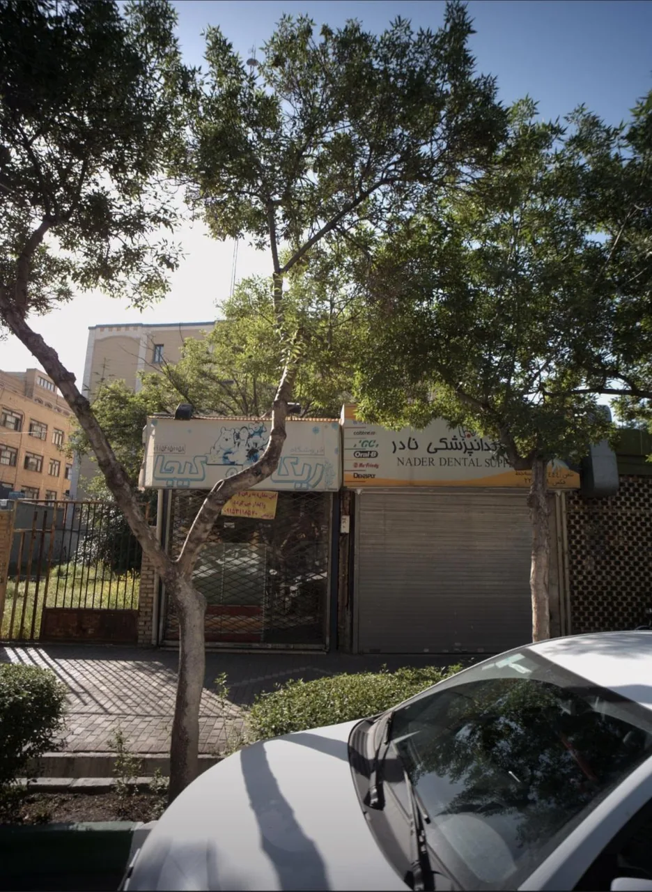 کالای دندانپزشکی نادر - تصویر 2