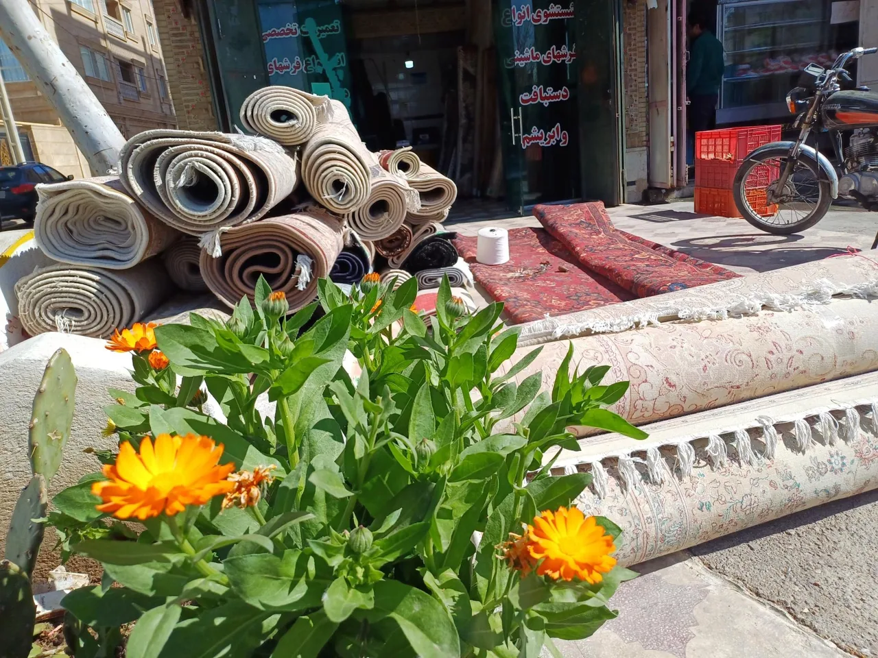 قالیشویی حافظ شیراز - تصویر 3