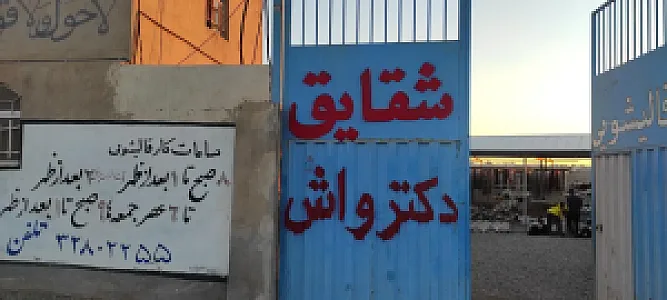 قالیشویی شقایق