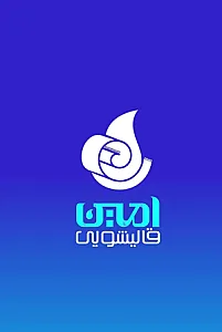 قالیشویی امین