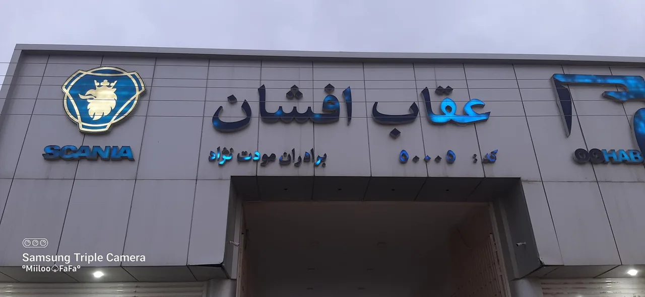 نمایندگی عقاب افشان اسکانیا - تصویر 2