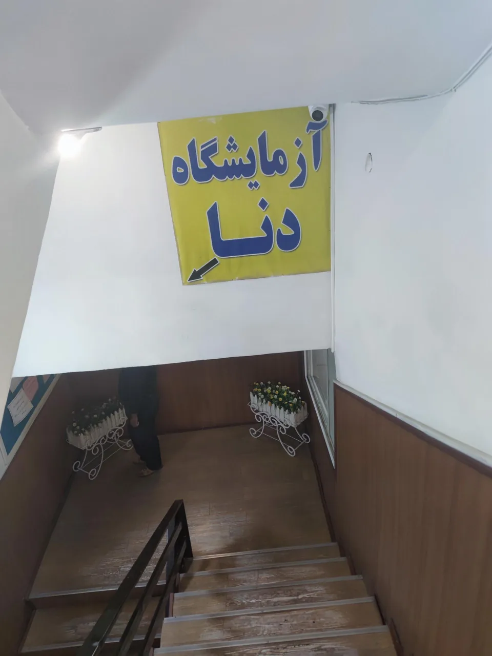 آزمایشگاه دنا - تصویر 2