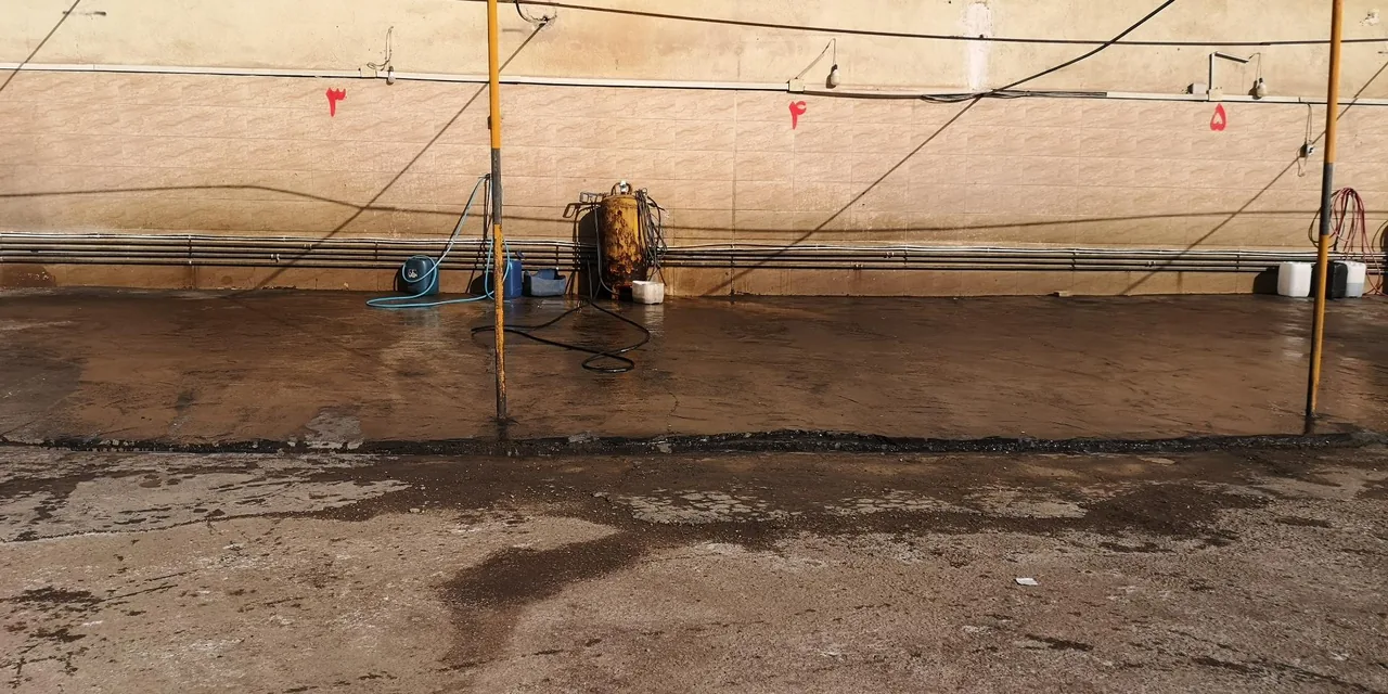 کارواش رویال - تصویر 5