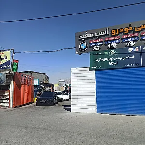کارواش اسب سفید