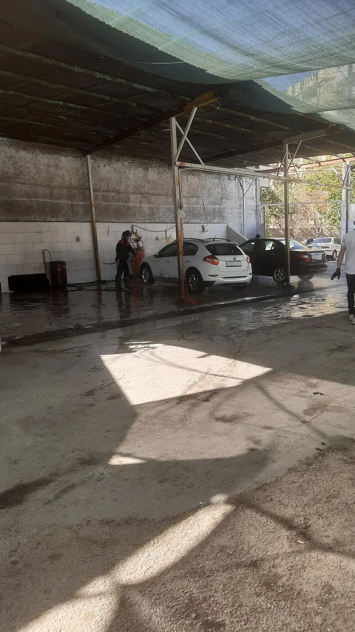 ونیز واش - تصویر 5