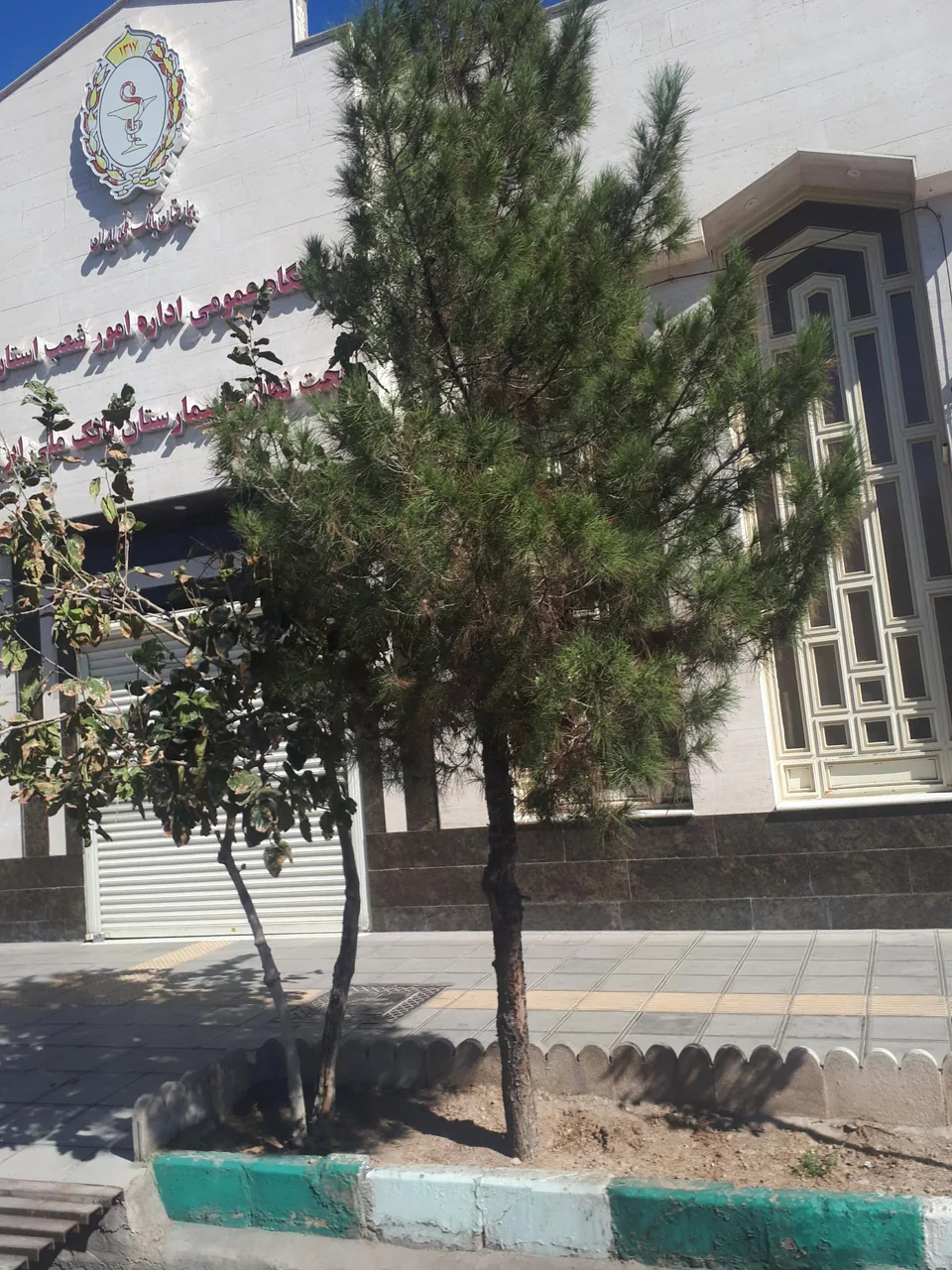 درمانگاه عمومی بانک ملی استان قم - تصویر 4
