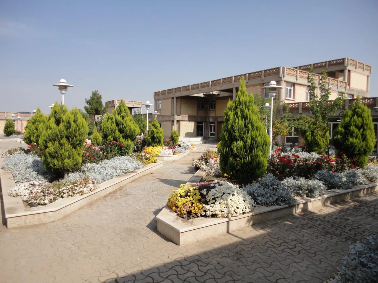 درمانگاه ولایت - تصویر 4