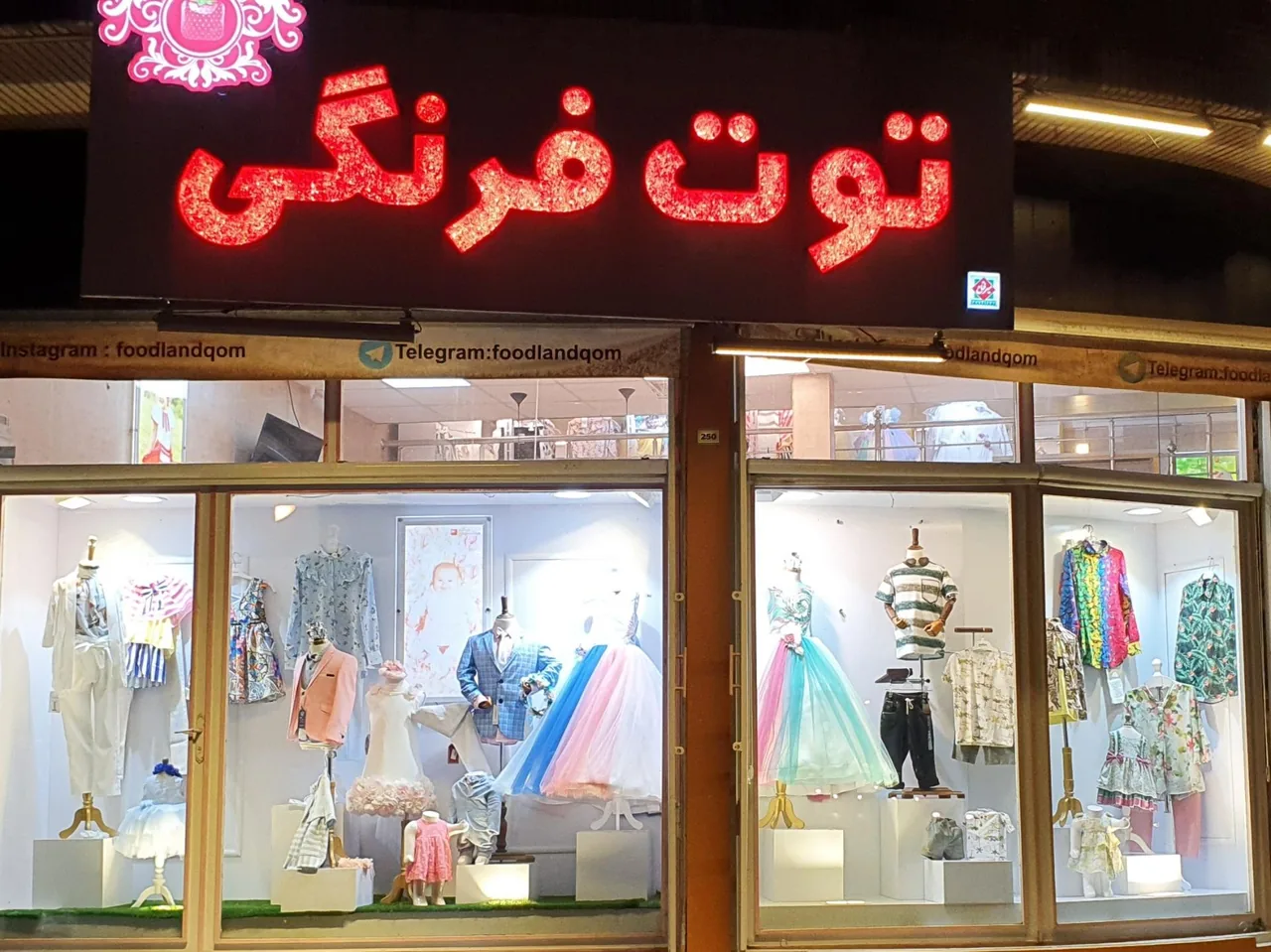 توت فرنگی - تصویر 3