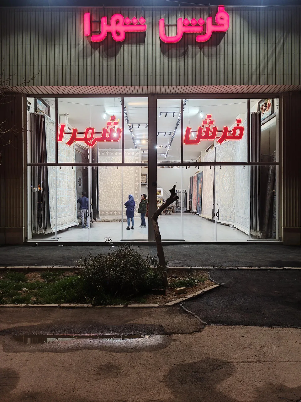 فرش شهرا - تصویر 2
