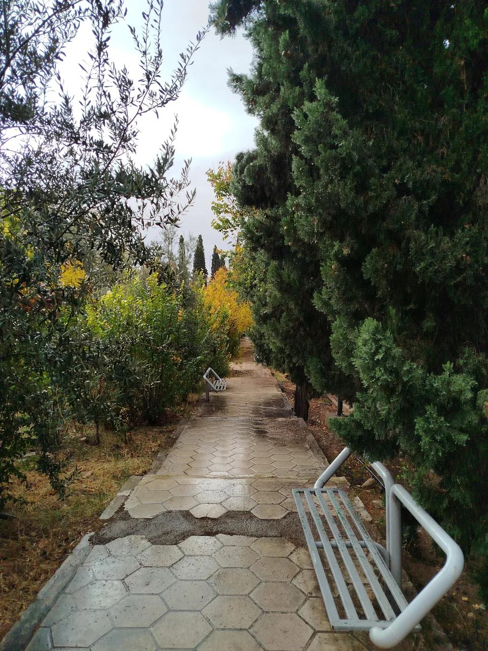 دانشکده داروسازی شیراز - تصویر 4