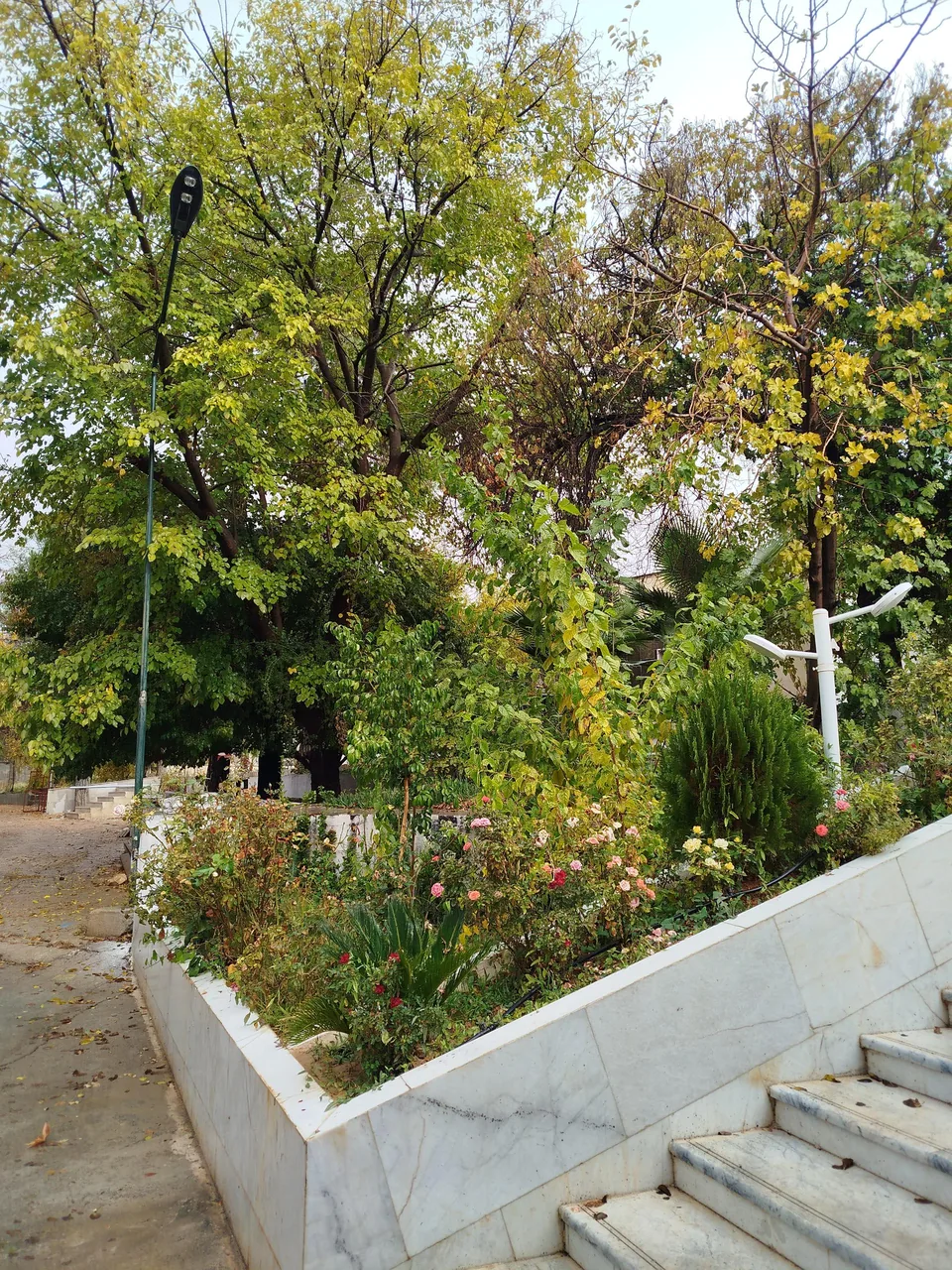 دانشکده داروسازی شیراز - تصویر 5