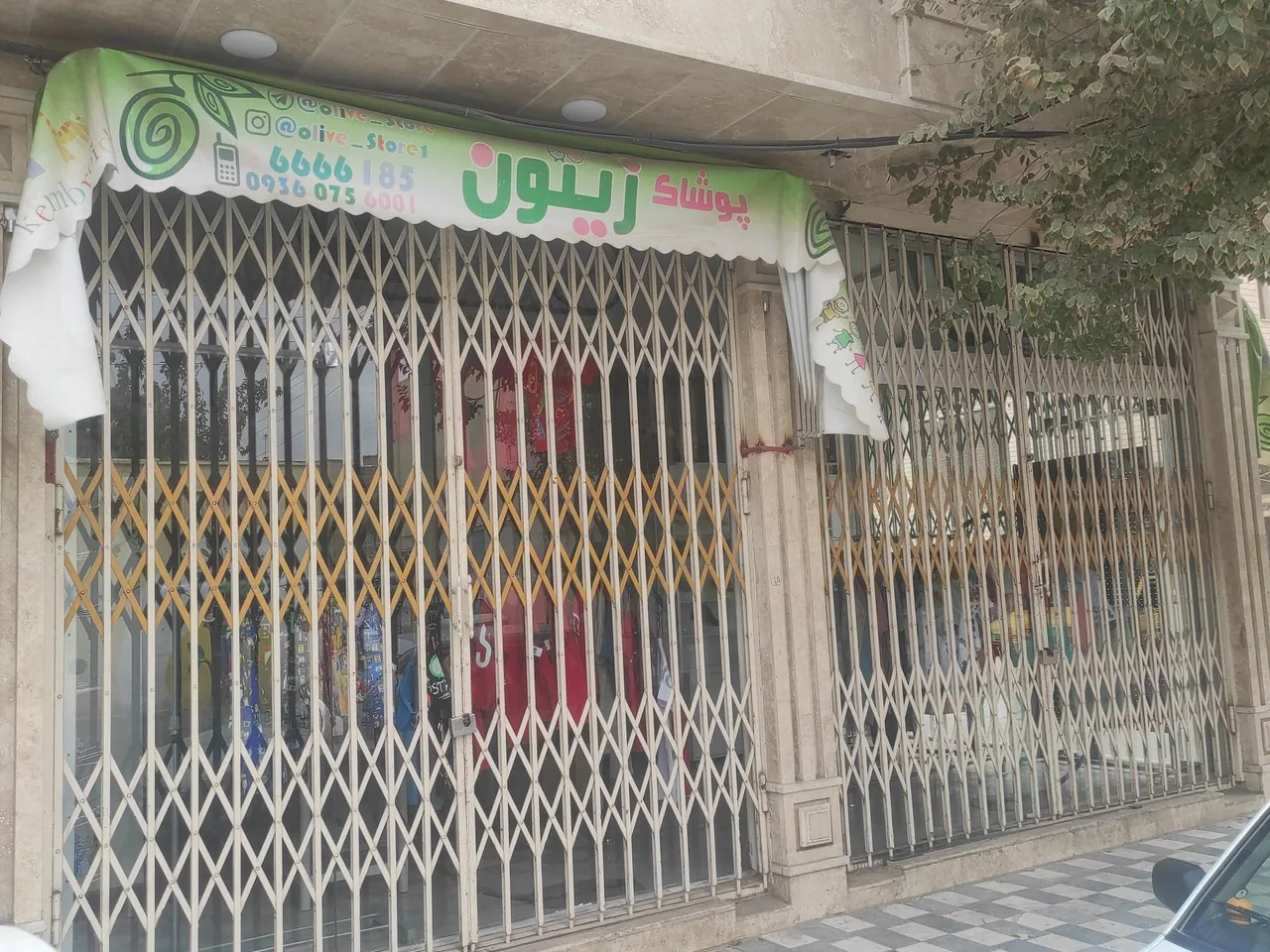 پوشاک زیتون - تصویر 4