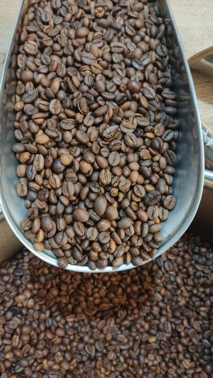 عمده قهوه داکنس - تصویر 2
