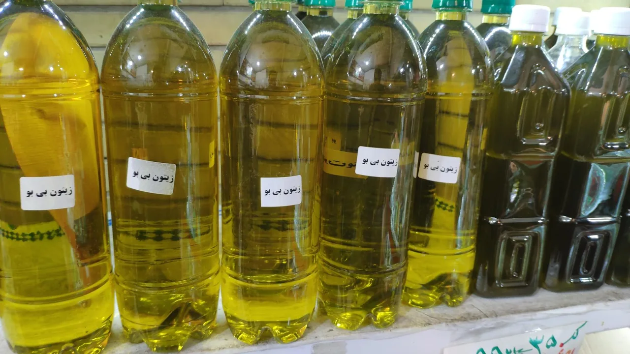 زیتون سرای مصباح - تصویر 3