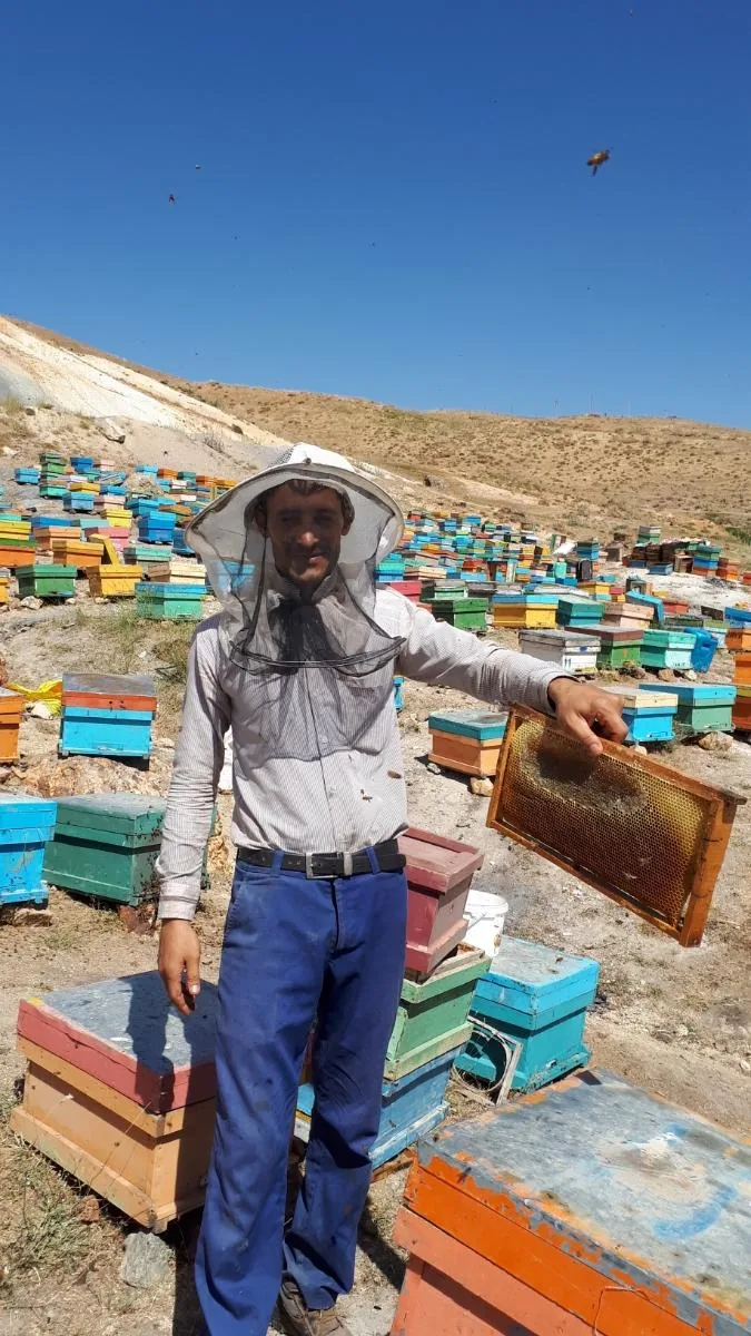 عسل فروشی برداران یعقوبی - تصویر 5