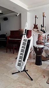 گالری موسیقی علی میرزائی