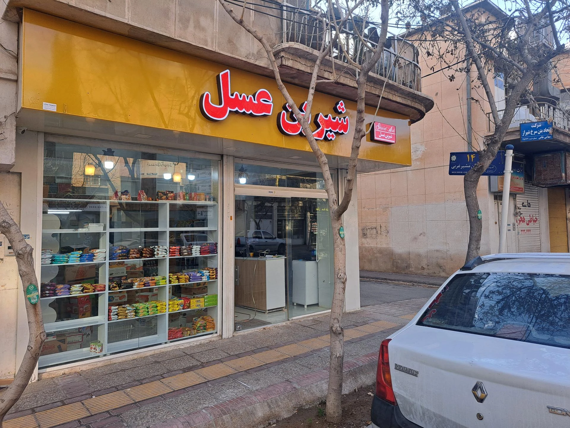نوشابه شریعت - تصویر 2