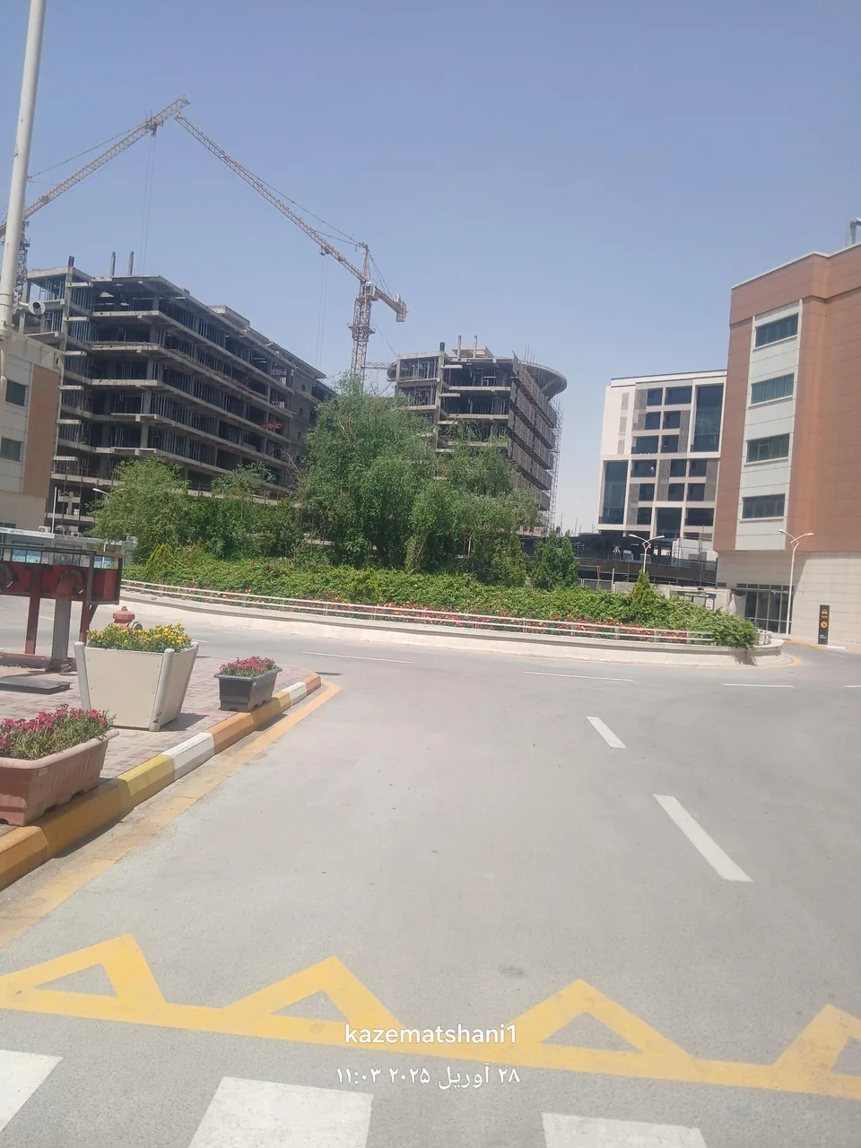 کلینیک تخصصی درد دکتر مویدنیا - تصویر 5