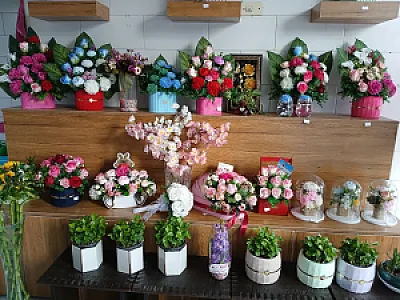 گلکده بهار