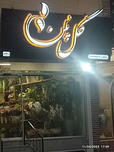 گل پلن
