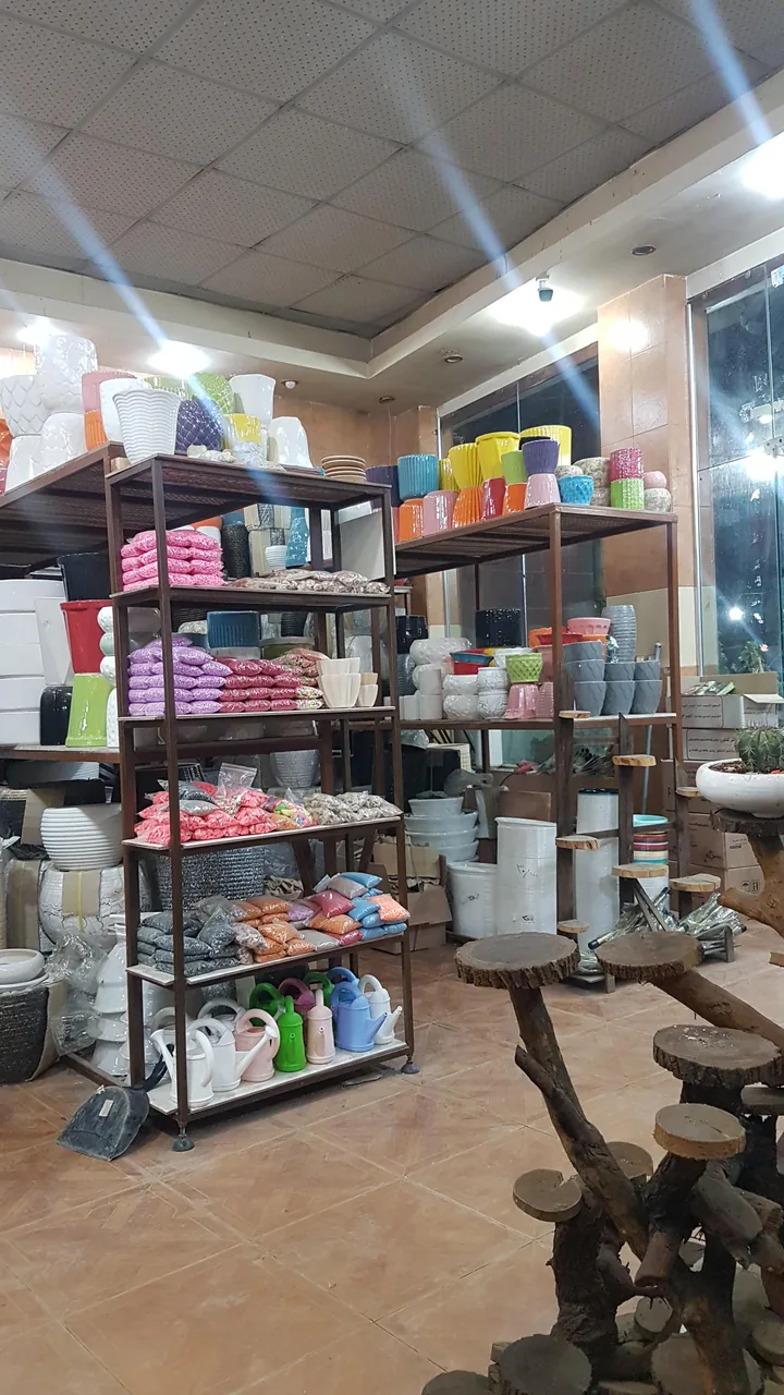 گل و گیاه شاد
