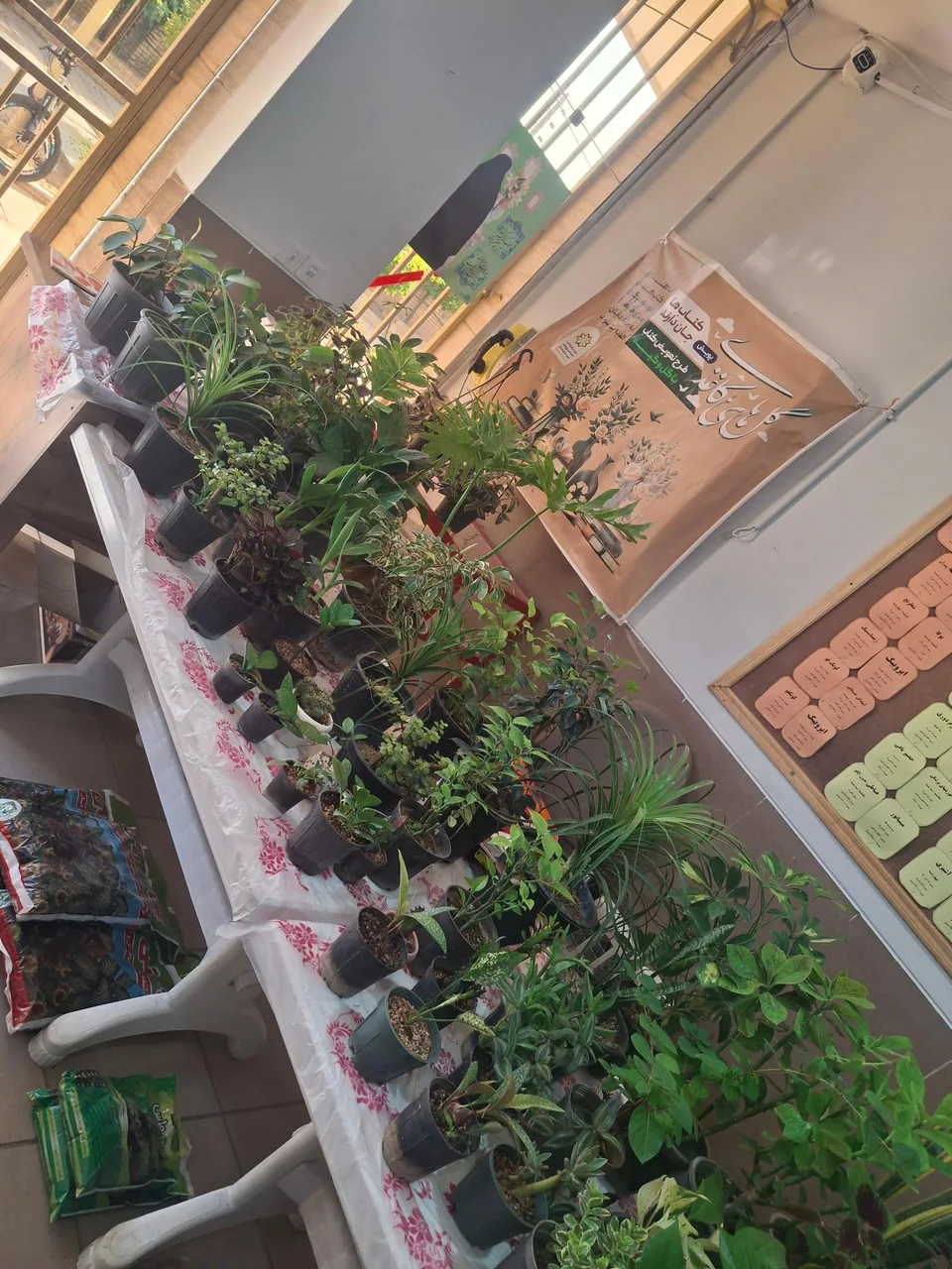 فرهنگسرای مطهری - تصویر 3