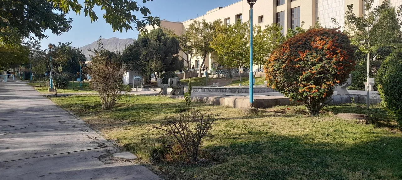 دانشکده ادبیات - تصویر 4