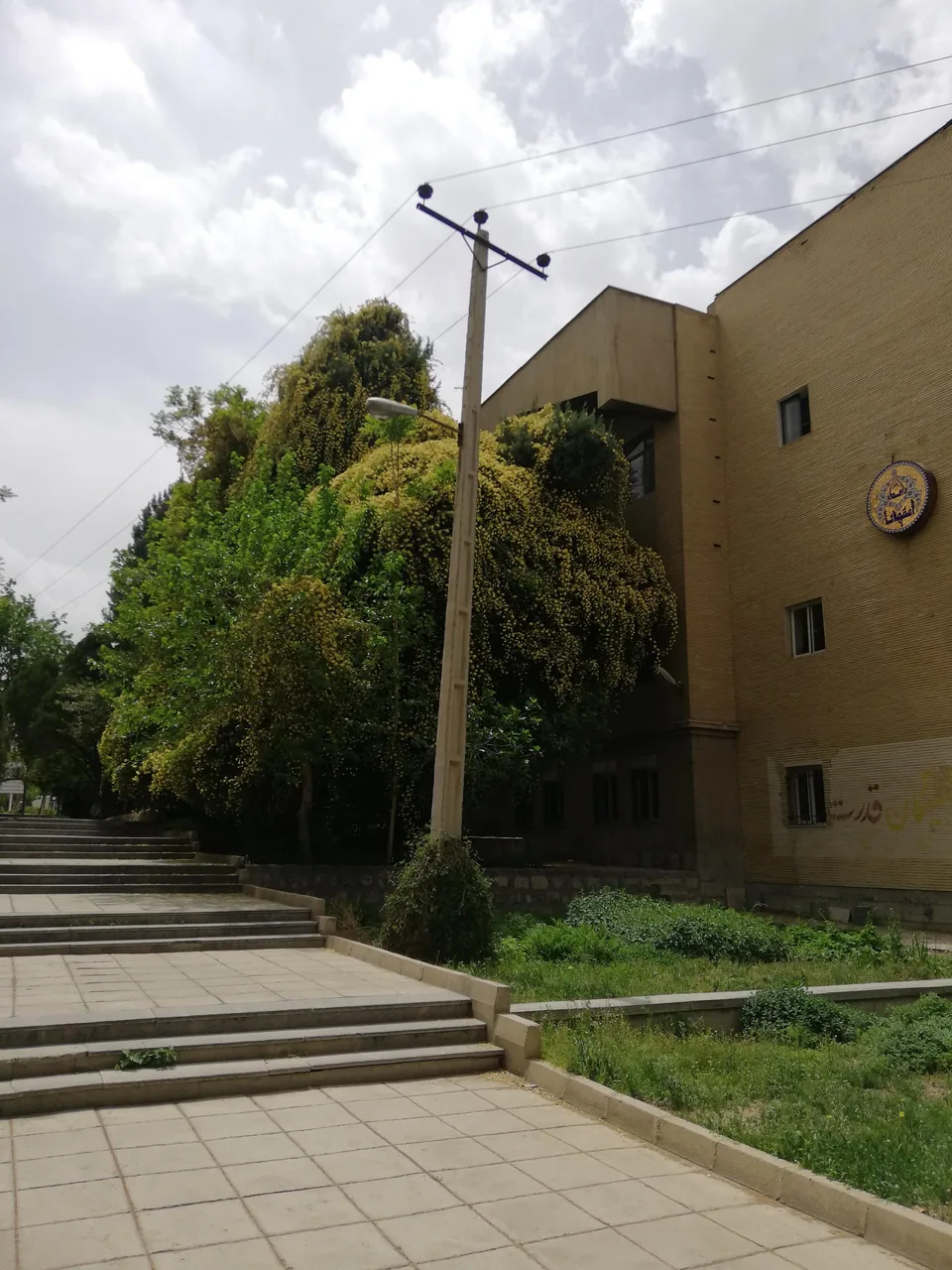 دانشکده داروسازی - تصویر 2