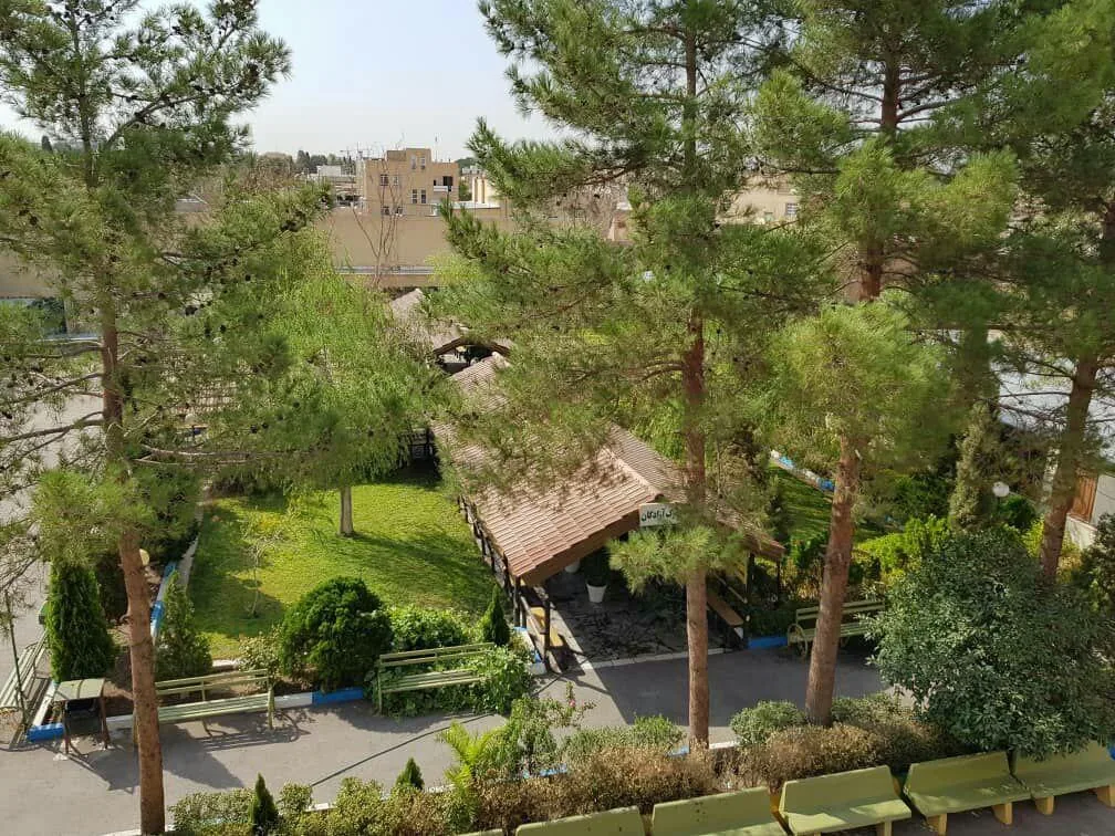 دبیرستان پسرانه شهید رمضانزاده (شاهد) - مدرسه در یزد - تصویر 3
