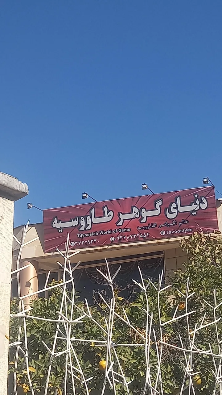 فرهنگسرای طاووسیه - تصویر 2