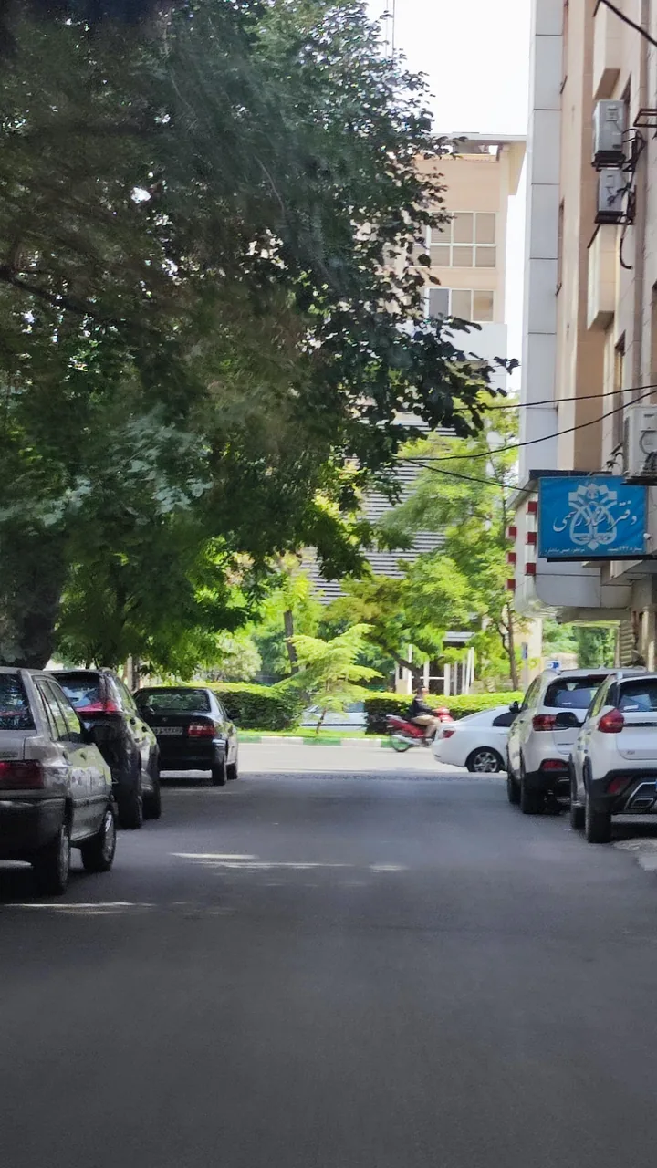 دفتر اسناد رسمی شماره ۲۴۲ - تصویر 5