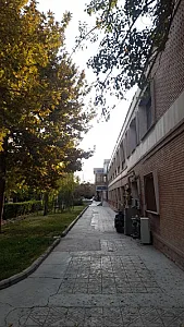 دانشکده تربیت بدنی و علوم ورزشی