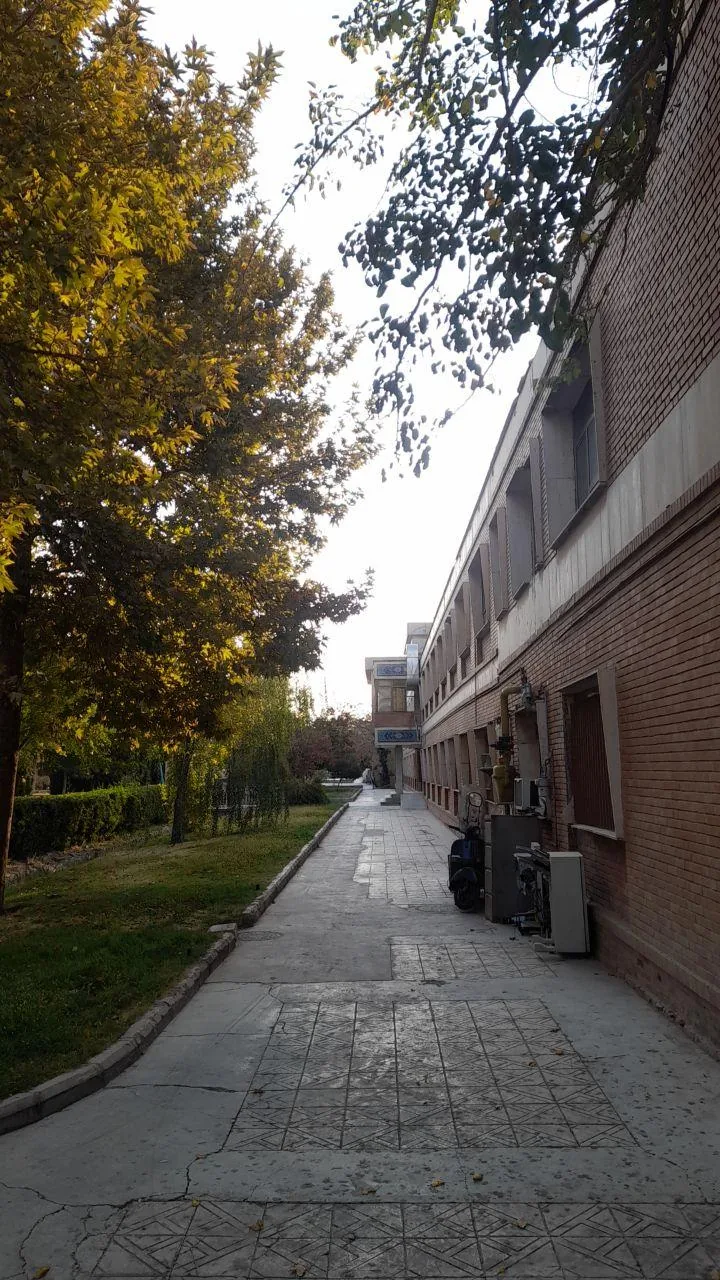 دانشکده تربیت بدنی و علوم ورزشی