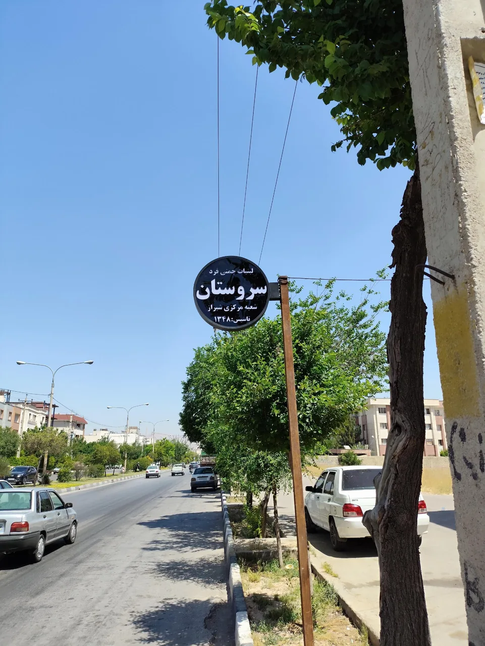 دوغ دونی - تصویر 3