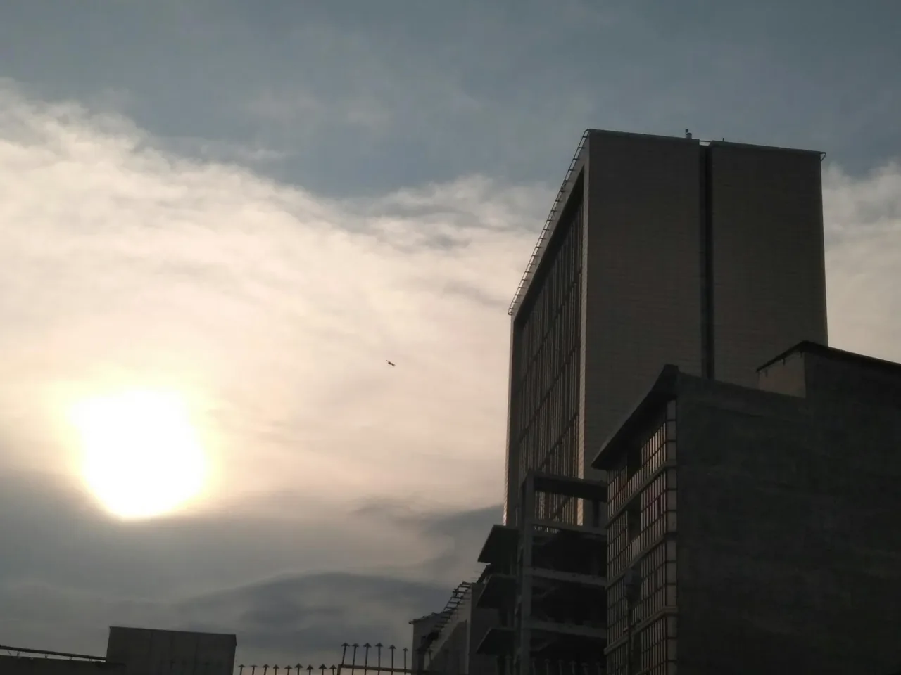 نیکامال - تصویر 2