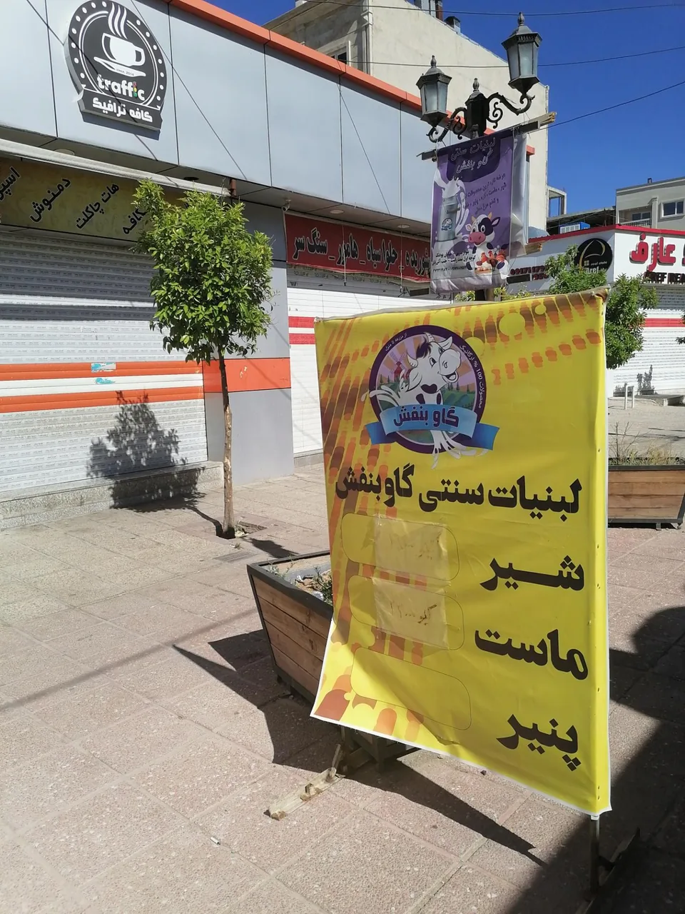 لبنیات سنتی گاو بنفش - تصویر 2