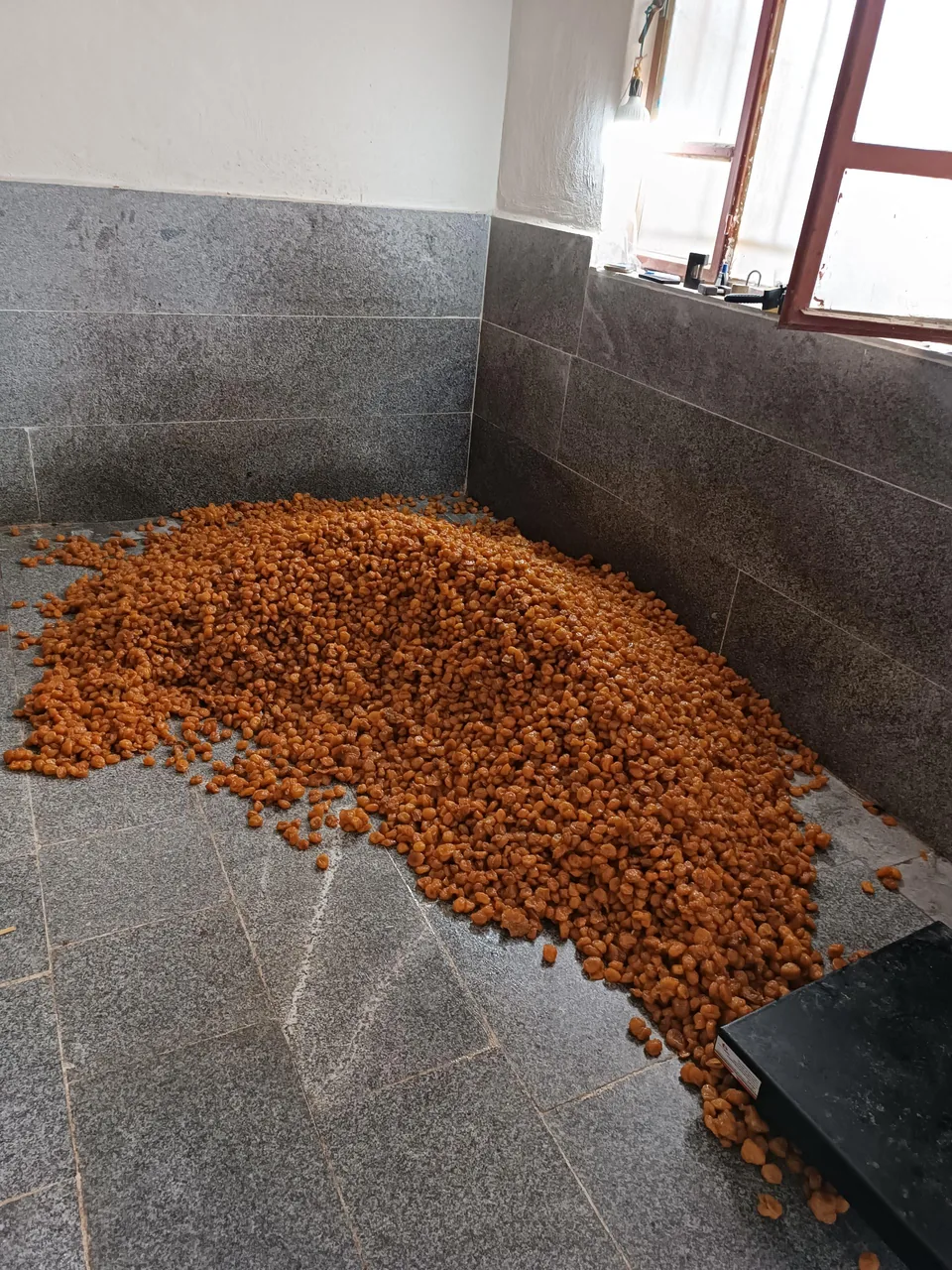 آجیل و خشکبار آفتابگردون - تصویر 2