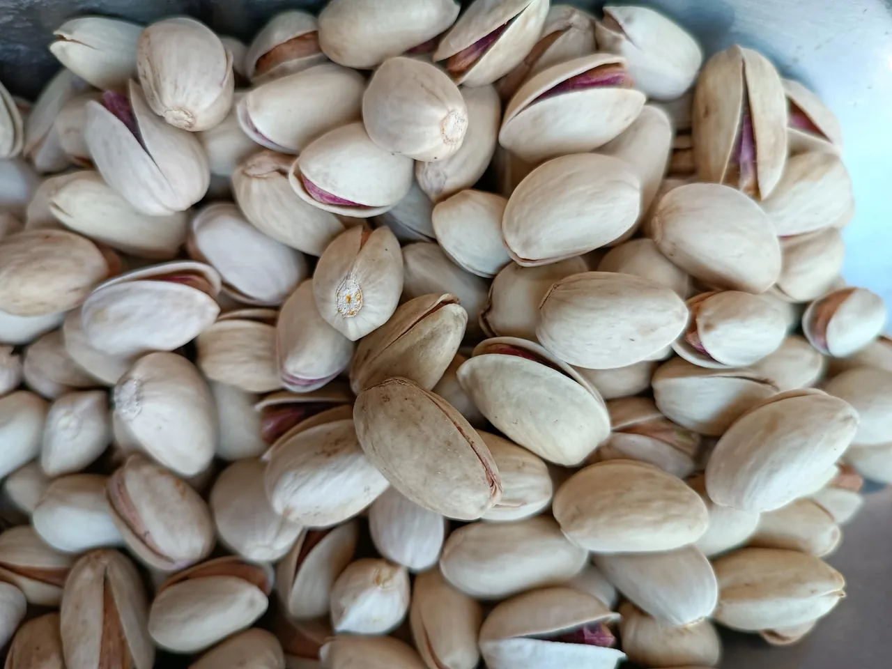 آجیل و خشکبار آفتابگردون - تصویر 5
