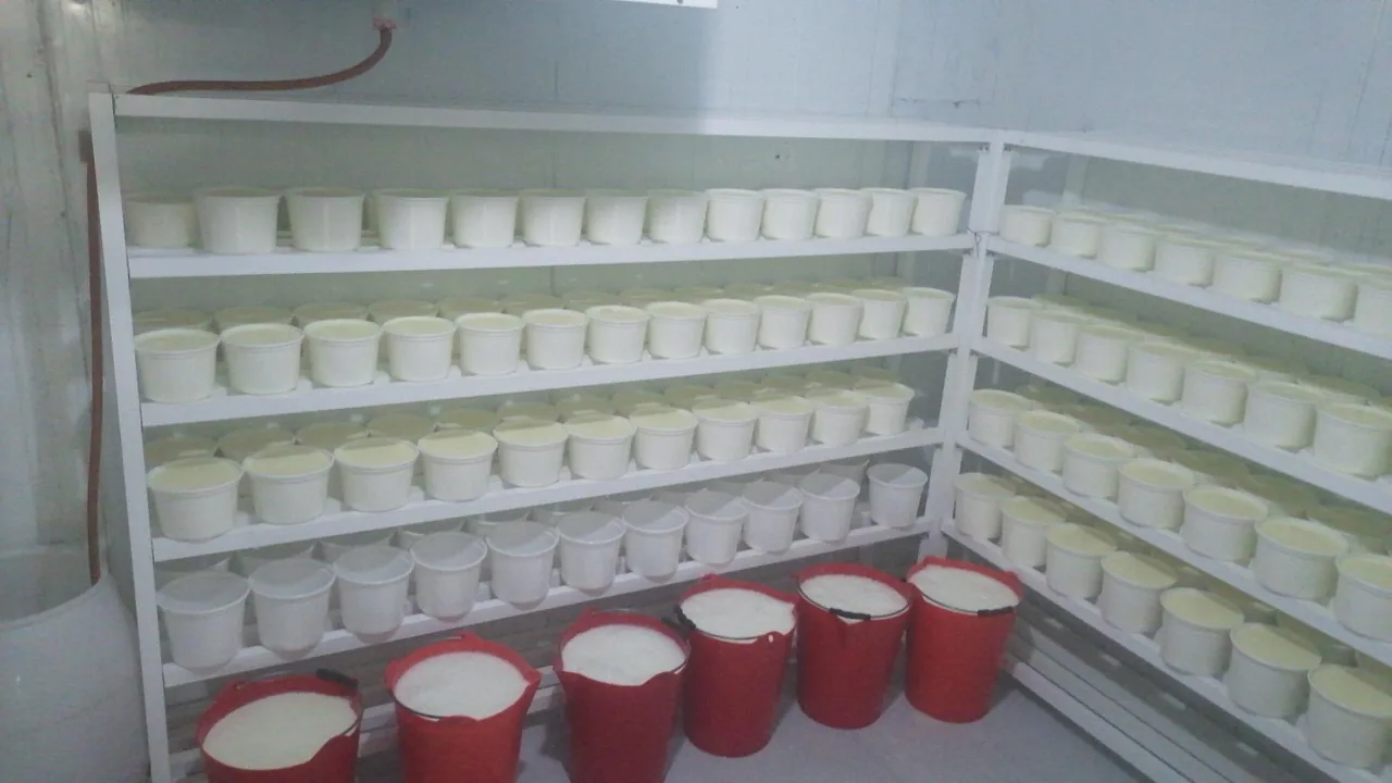 لبنیات سنتی اصیل زرقان - تصویر 2
