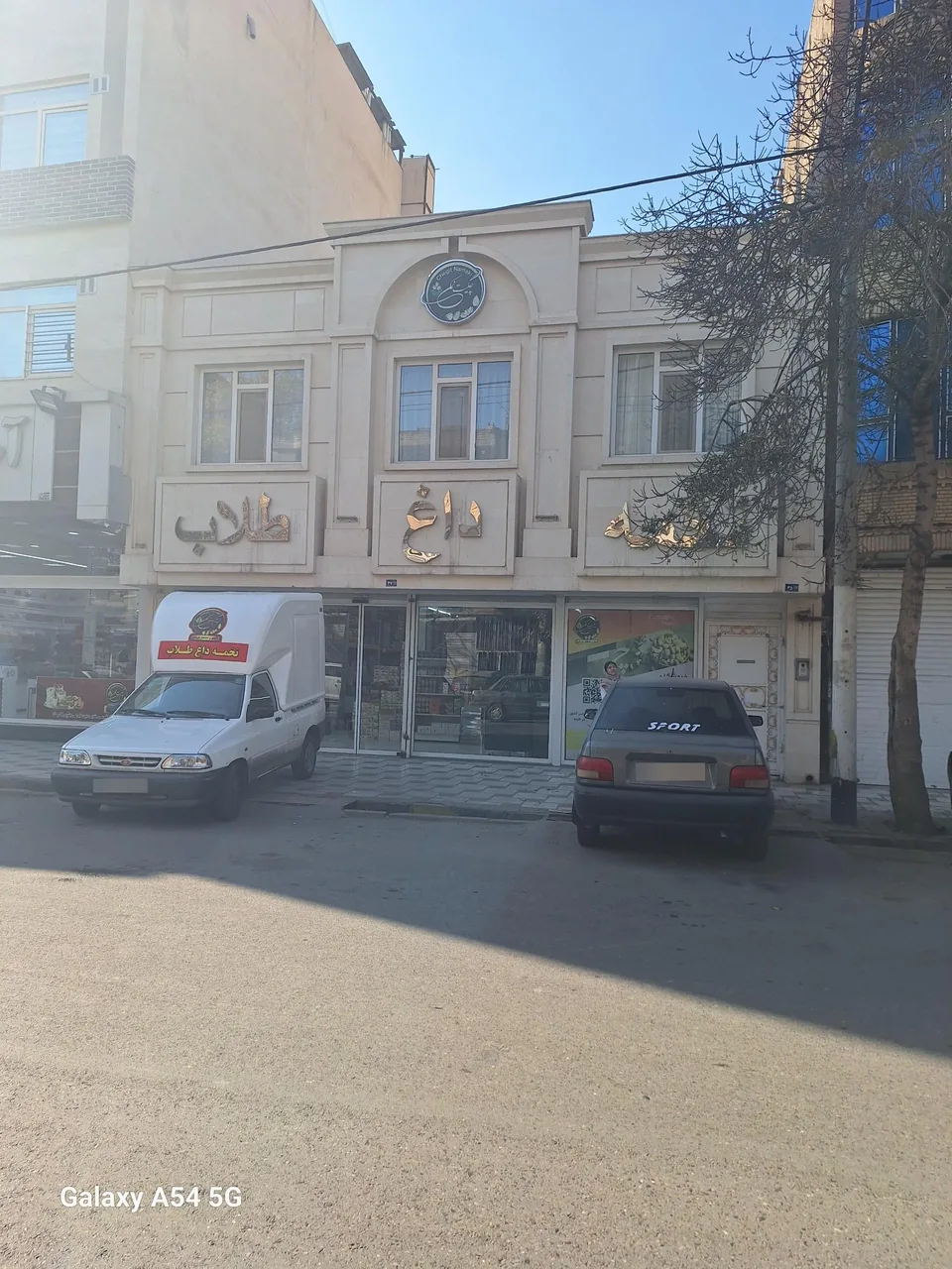 تخمه داغ طلاب - تصویر 4