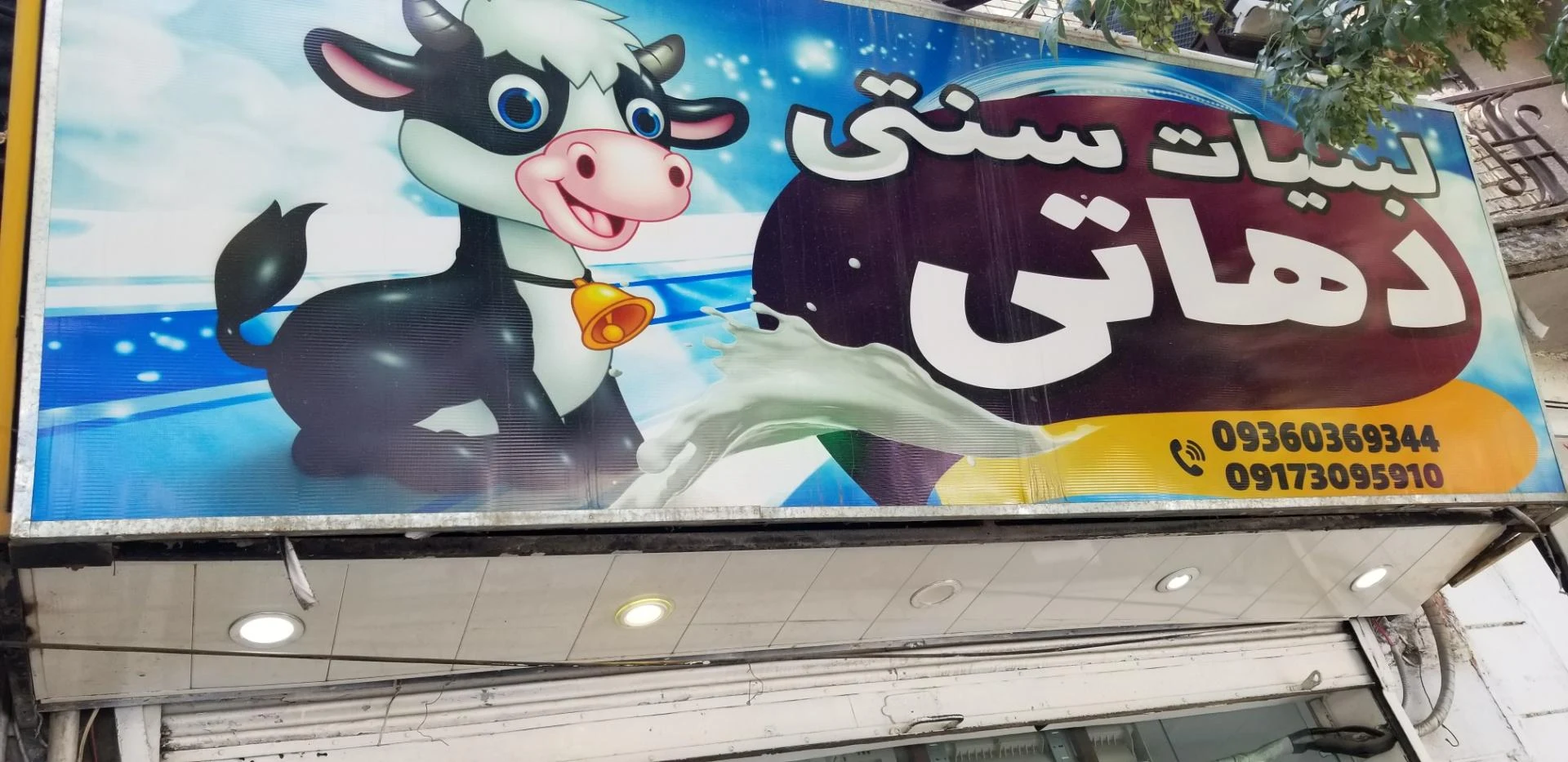 لبنیات سنتی تک - لبنیاتی در شیراز - تصویر 2