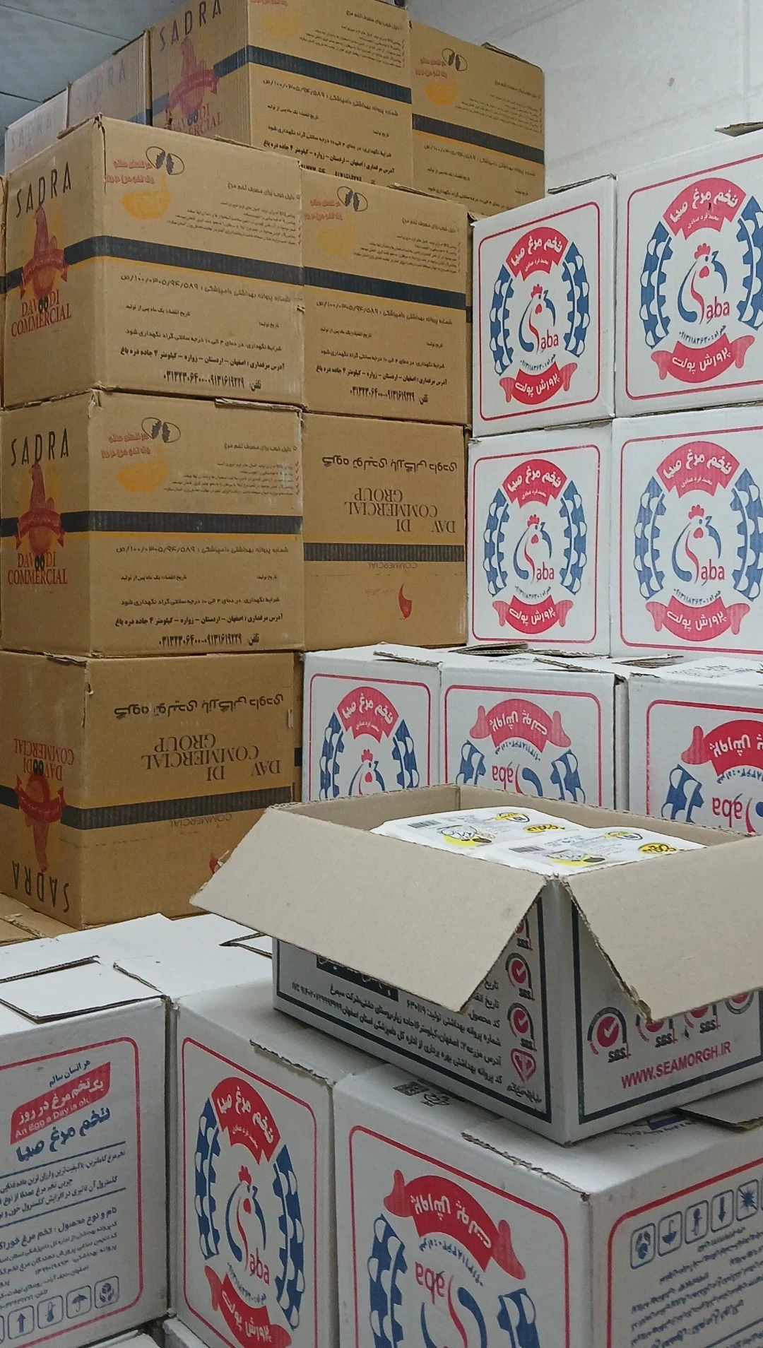 پخش تخم مرغ اطمینان - خواربار و بقالی در اصفهان - تصویر 10