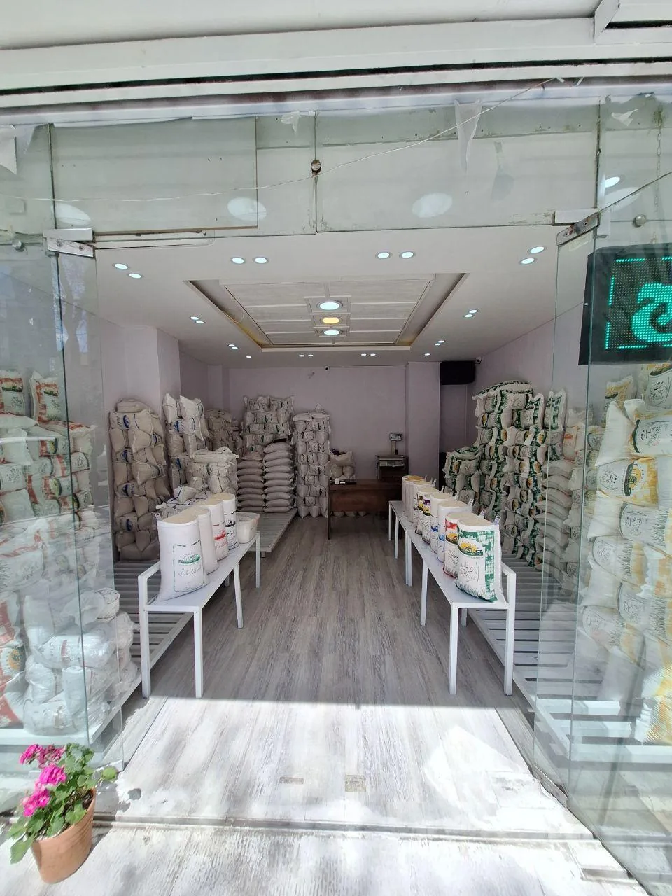 برنج جینگاسر - تصویر 3