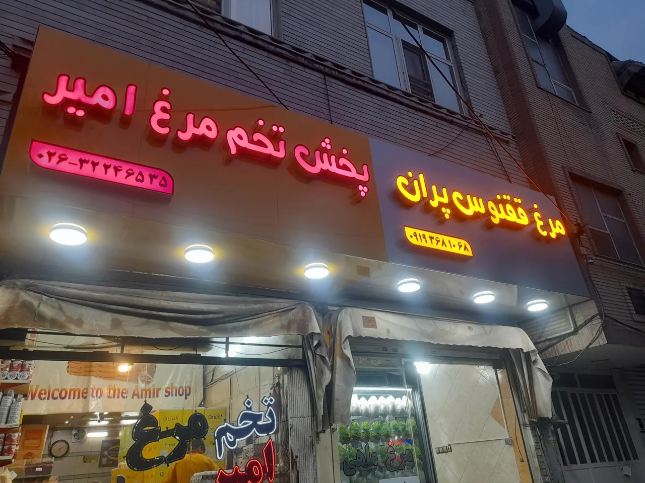 فروشگاه تخم مرغ امیر