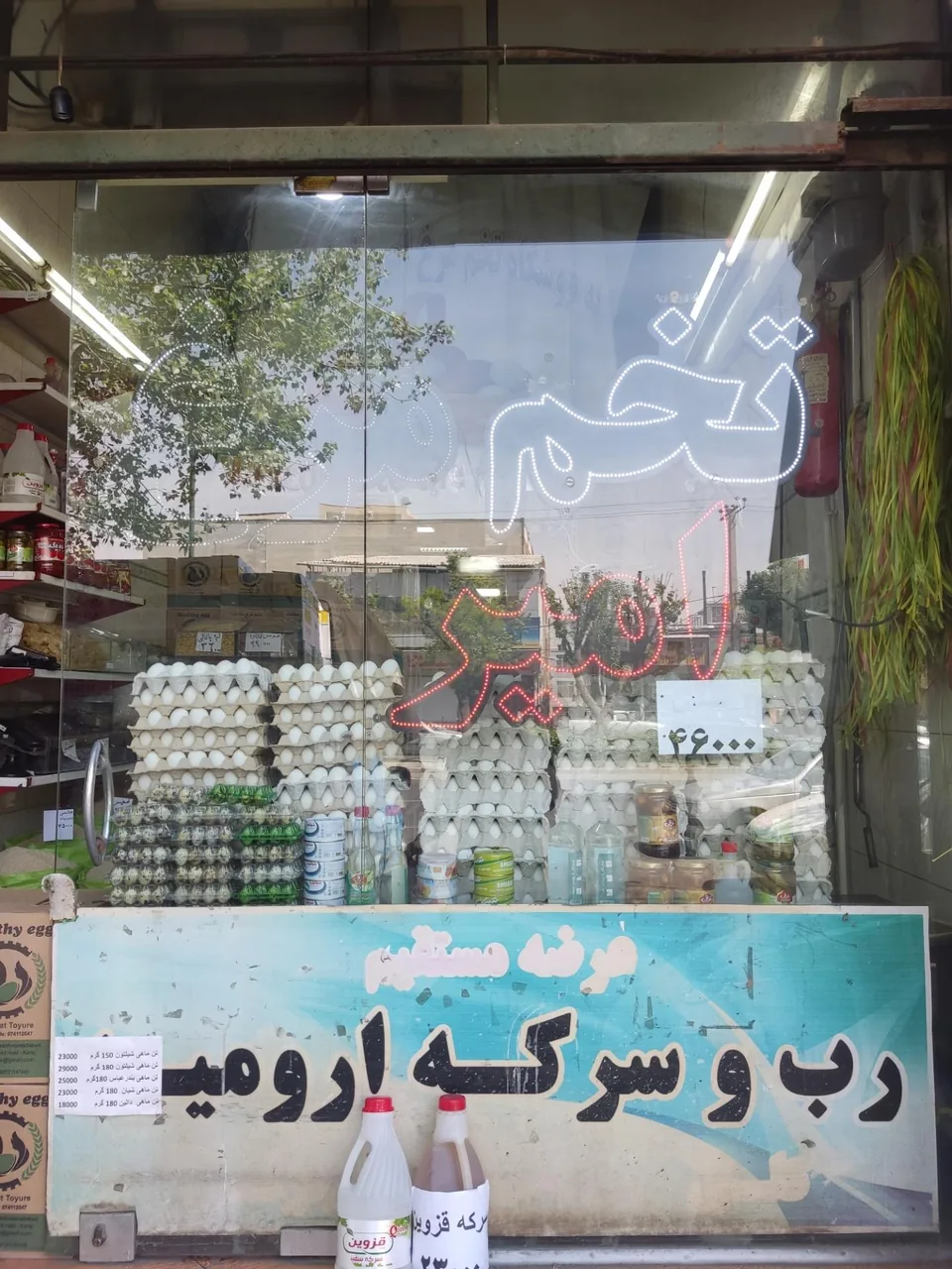 فروشگاه تخم مرغ امیر - تصویر 3