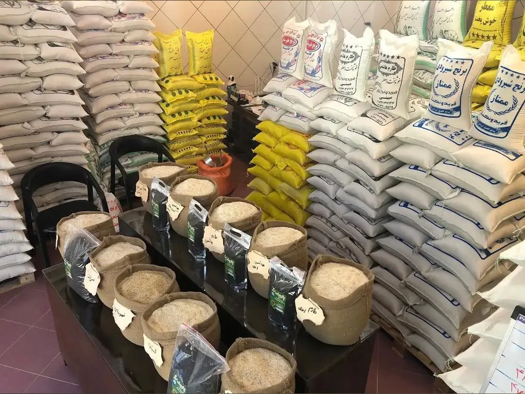 بورس برنج مبینی - تصویر 2