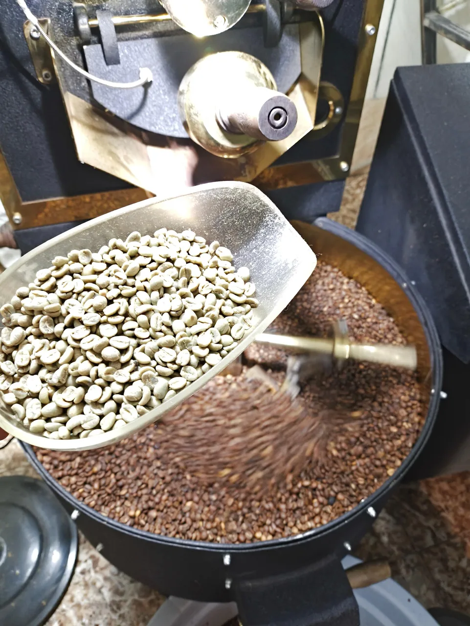 پخش قهوه سیلور - تصویر 3