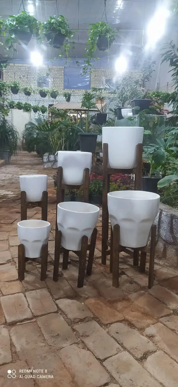 گلخانه دهکده طبیعت - تصویر 2