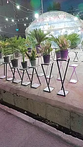 گلخانه زاینده رود